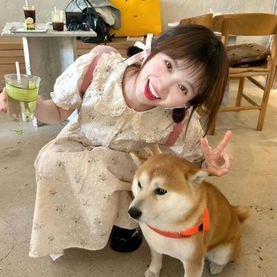扑通扑通的青春